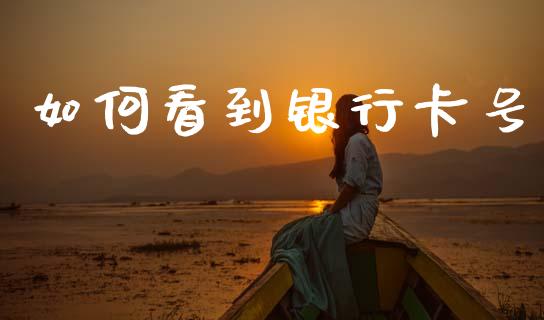 如何看到银行卡号_https://wap.yjjixie.cn_保险理财_第1张
