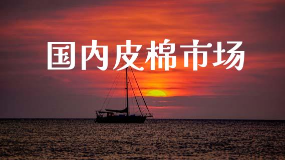 国内皮棉市场_https://wap.yjjixie.cn_港股行情_第1张