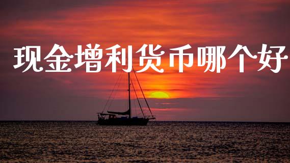 现金增利货币哪个好_https://wap.yjjixie.cn_保险理财_第1张
