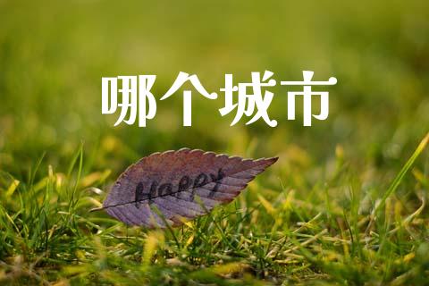 哪个城市_https://wap.yjjixie.cn_商业资讯_第1张