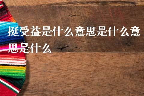 挺受益是什么意思是什么意思是什么_https://wap.yjjixie.cn_商业资讯_第1张