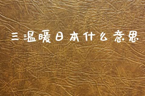 三温暖日本什么意思_https://wap.yjjixie.cn_商业资讯_第1张