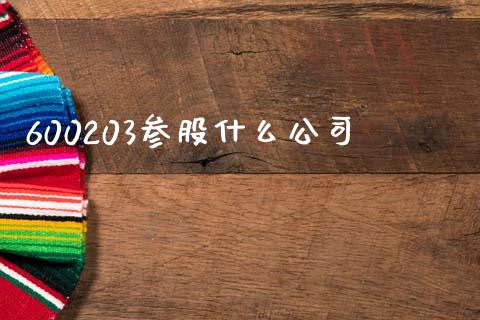 600203参股什么公司_https://wap.yjjixie.cn_保险理财_第1张