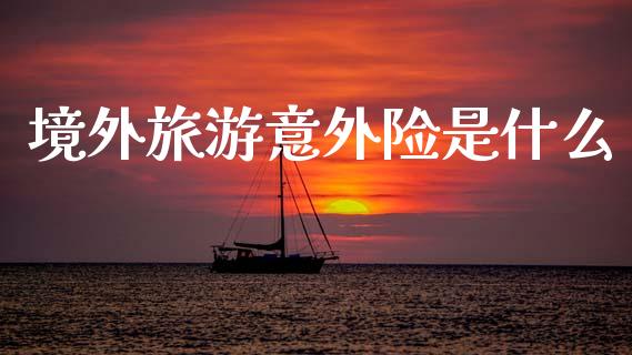 境外旅游意外险是什么_https://wap.yjjixie.cn_商业资讯_第1张