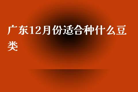 广东12月份适合种什么豆类_https://wap.yjjixie.cn_保险理财_第1张