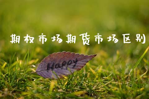 期权市场期货市场区别_https://wap.yjjixie.cn_证券市场_第1张