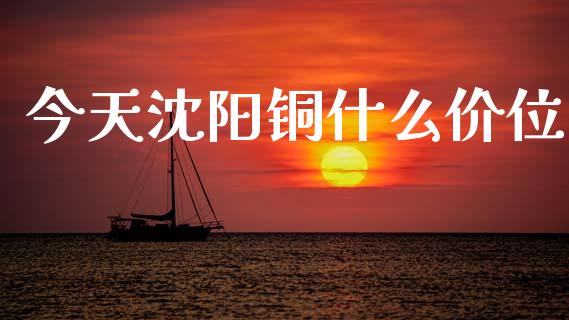 今天沈阳铜什么价位_https://wap.yjjixie.cn_保险理财_第1张