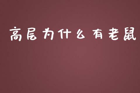 高层为什么有老鼠_https://wap.yjjixie.cn_保险理财_第1张