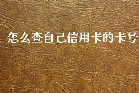 怎么查自己信用卡的卡号_https://wap.yjjixie.cn_保险理财_第1张