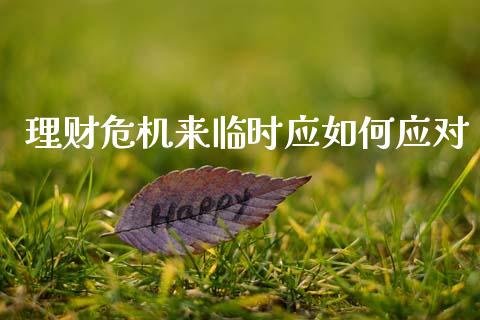 理财危机来临时应如何应对_https://wap.yjjixie.cn_港股行情_第1张