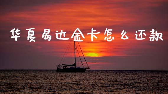 华夏易达金卡怎么还款_https://wap.yjjixie.cn_保险理财_第1张