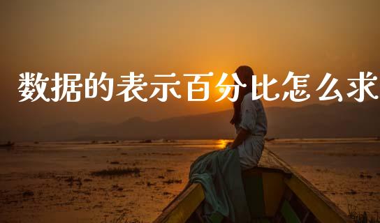 数据的表示百分比怎么求_https://wap.yjjixie.cn_港股行情_第1张