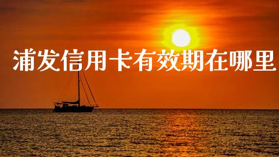 浦发信用卡有效期在哪里_https://wap.yjjixie.cn_保险理财_第1张