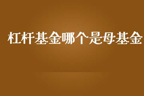 杠杆基金哪个是母基金_https://wap.yjjixie.cn_证券市场_第1张