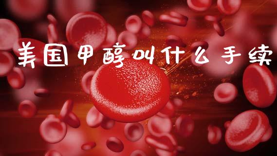 美国甲醇叫什么手续_https://wap.yjjixie.cn_港股行情_第1张