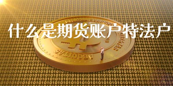 什么是期货账户特法户_https://wap.yjjixie.cn_商业资讯_第1张