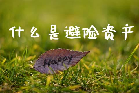 什么是避险资产_https://wap.yjjixie.cn_港股行情_第1张