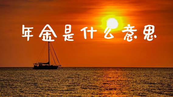 年金是什么意思_https://wap.yjjixie.cn_商业资讯_第1张