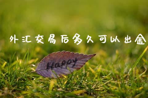 外汇交易后多久可以出金_https://wap.yjjixie.cn_保险理财_第1张