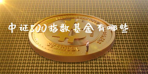 中证500指数基金有哪些_https://wap.yjjixie.cn_保险理财_第1张