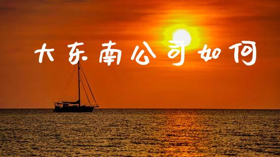 大东南公司如何_https://wap.yjjixie.cn_保险理财_第1张