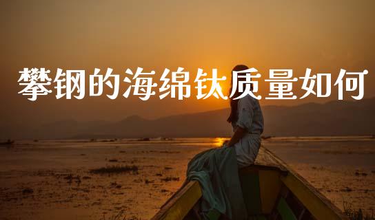 攀钢的海绵钛质量如何_https://wap.yjjixie.cn_商业资讯_第1张