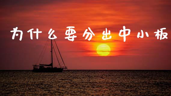 为什么要分出中小板_https://wap.yjjixie.cn_港股行情_第1张