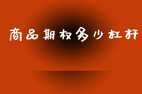 商品期权多少杠杆_https://wap.yjjixie.cn_保险理财_第1张