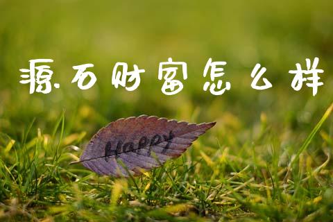 源石财富怎么样_https://wap.yjjixie.cn_商业资讯_第1张