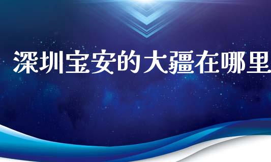 深圳宝安的大疆在哪里_https://wap.yjjixie.cn_商业资讯_第1张