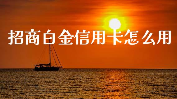 招商白金信用卡怎么用_https://wap.yjjixie.cn_商业资讯_第1张