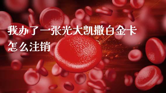 我办了一张光大凯撒白金卡怎么注销_https://wap.yjjixie.cn_港股行情_第1张