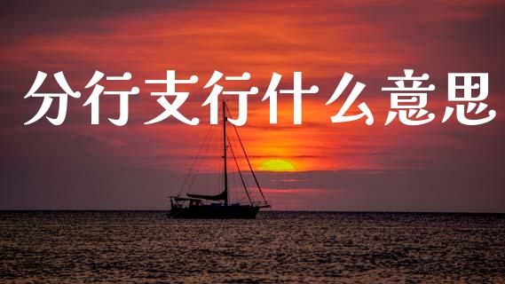 分行支行什么意思_https://wap.yjjixie.cn_保险理财_第1张