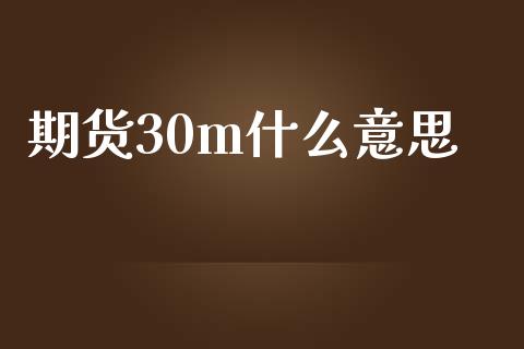 期货30m什么意思_https://wap.yjjixie.cn_保险理财_第1张