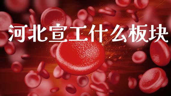 河北宣工什么板块_https://wap.yjjixie.cn_保险理财_第1张