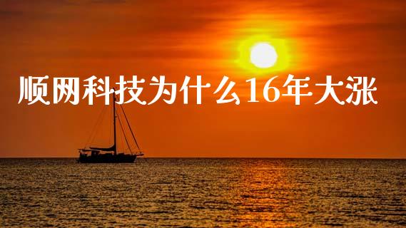 顺网科技为什么16年大涨_https://wap.yjjixie.cn_证券市场_第1张