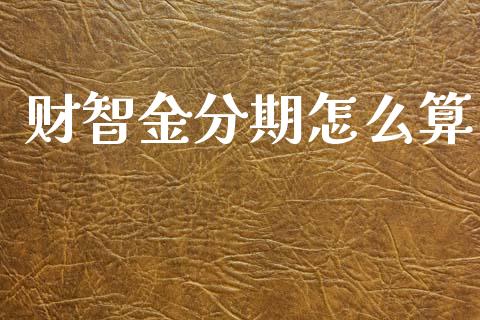 财智金分期怎么算_https://wap.yjjixie.cn_证券市场_第1张