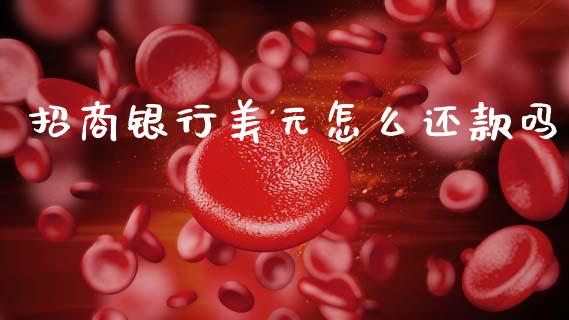 招商银行美元怎么还款吗_https://wap.yjjixie.cn_保险理财_第1张