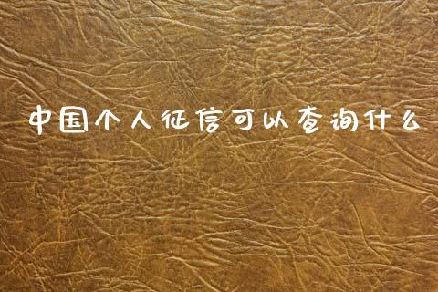 中国个人征信可以查询什么_https://wap.yjjixie.cn_港股行情_第1张