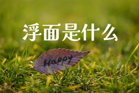 浮面是什么_https://wap.yjjixie.cn_证券市场_第1张