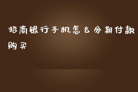 招商银行手机怎么分期付款购买_https://wap.yjjixie.cn_保险理财_第1张