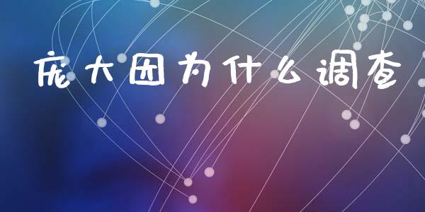 庞大因为什么调查_https://wap.yjjixie.cn_保险理财_第1张