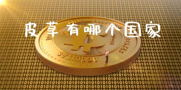皮草有哪个国家_https://wap.yjjixie.cn_证券市场_第1张