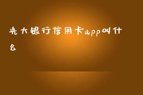 光大银行信用卡app叫什么_https://wap.yjjixie.cn_保险理财_第1张