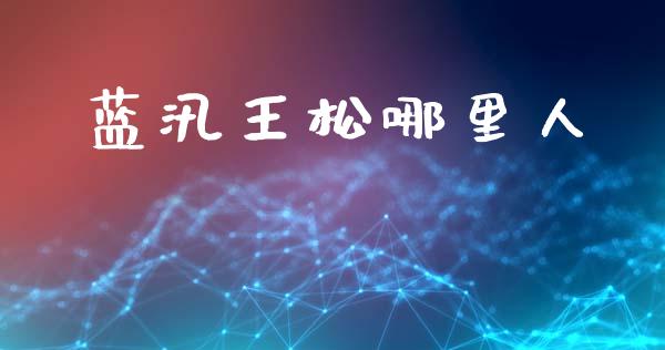 蓝汛王松哪里人_https://wap.yjjixie.cn_商业资讯_第1张