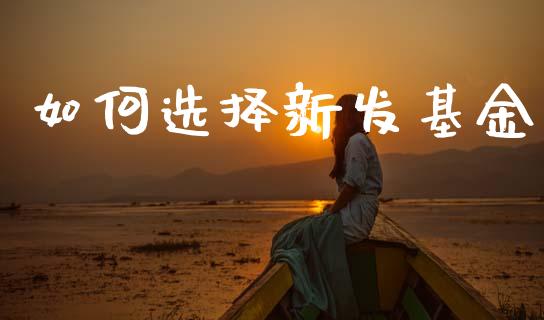 如何选择新发基金_https://wap.yjjixie.cn_证券市场_第1张