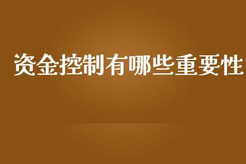资金控制有哪些重要性_https://wap.yjjixie.cn_保险理财_第1张