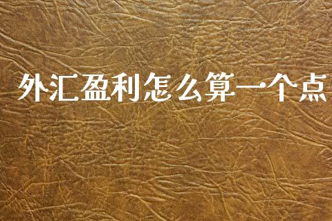 外汇盈利怎么算一个点_https://wap.yjjixie.cn_保险理财_第1张