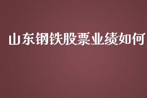 山东钢铁股票业绩如何_https://wap.yjjixie.cn_保险理财_第1张
