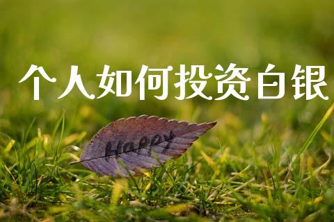 个人如何投资白银_https://wap.yjjixie.cn_港股行情_第1张